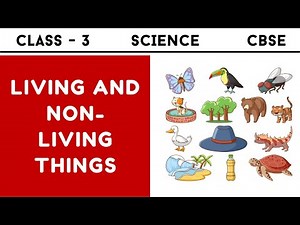 Class 3 Science Ch 1- Living and Non-Living Things for Class 3 CBSE in Hindi - English Chapter 1