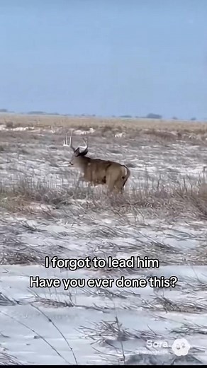 Fishing and Hunting Fails: A Hilarious Slip-Up