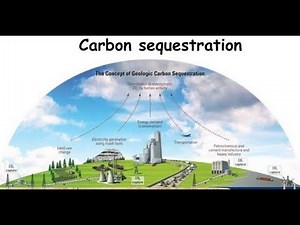 Carbon Sequestration: Concepts