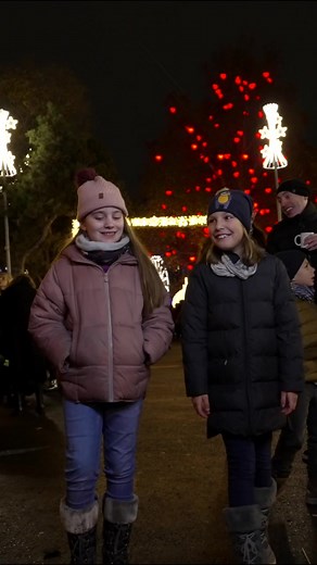 Wiener Christkindlmarkt on TikTok