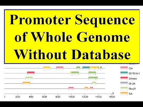Promoter region file of whole genome