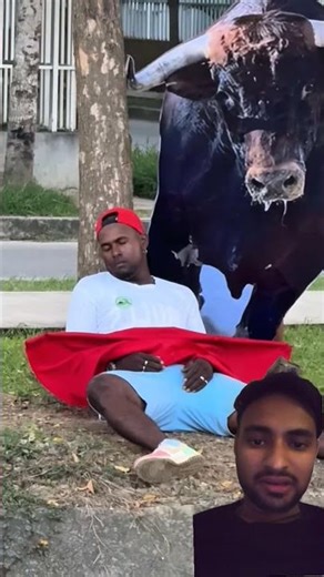 bull 🐂 prank with couples 😂😂awaz#azan#quran#viralshorts#islamic#india#trending