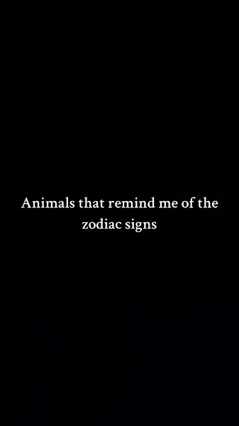 Zodiac Animals and Their Symbols Explained