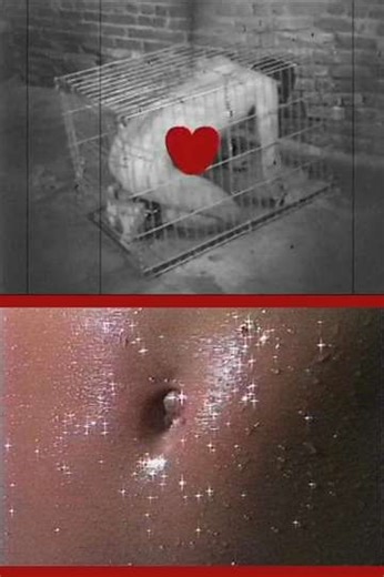 Boy Toys (2000) - Movie