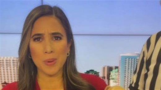 CBS8 Puppy Bowl 2026