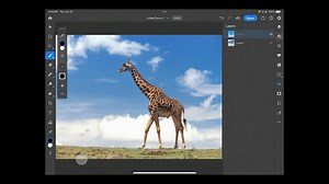 Chimera1: Image compositing considerations