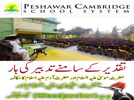 #friday #pcssystem | PCS - Peshawar Cambridge School System