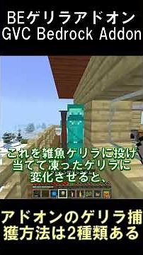 ゲリラアドオンV5のゲリラ捕獲方法は2種類ある【マインクラフト】【GVCアドオン】【BE1.21.132】#shorts #マイクラ #minecraft #アドオン