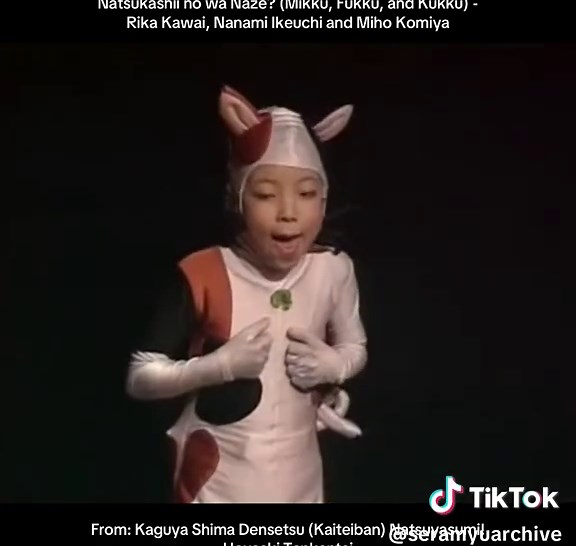 愛らしいセーラームーン・ミュージカルの魅力