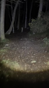 96K views · 3.2K reactions | Addressing the huge number of comments I get about safety and fear when solo wild camping ⛺️ ✅. #solofemalecamping #WildCamping | Fiona in the Wild | Facebook