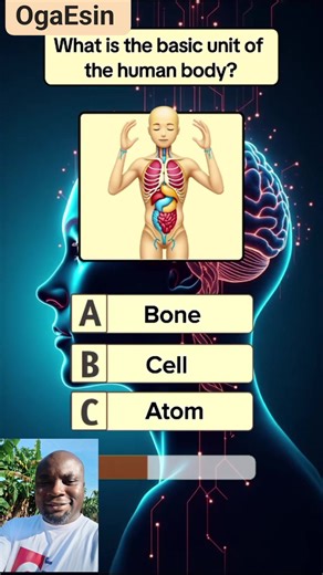 100 reactions · 36 shares | Answer these Questions about the Human Body System? #education #quotes #reelsviral #everyone #highlightseveryone #trendingreels #reelsviralシ #comedy #followers #lifestyle | Esin Bassey | Facebook