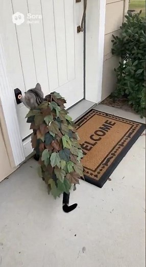 Cat Pranks Goose in Leafy Disguise! 🐱🍃 #funnycat #고양이 #मजेदारबिल्ली