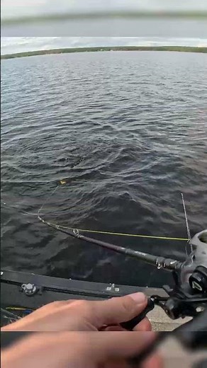 Boatside-Hecht in Schweden! 🎣 Direkt im Wasser abgehakt
