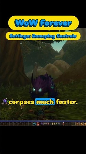World of Warcraft Forever Settings Guide - Gameplay & Graphic Controls - WoW Classic Vanilla MMORPG
