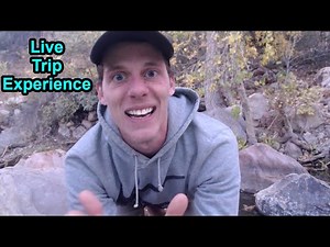 I Recorded My 4 Gram Mushroom Trip In Nature (Live Trip Experience)