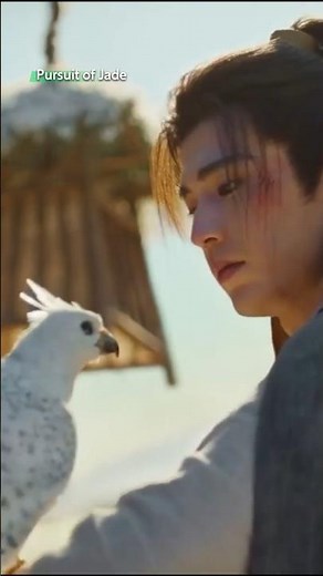 This was so funny 😂🤣 loved it the gyrfalcon 🤭💕 | Pursuit of Jade #zhuyu #zhanglinghe #tianxiweidrama