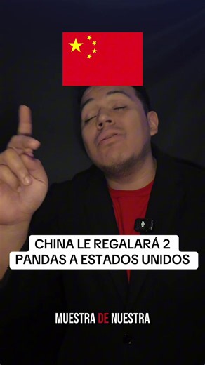 Ya habrá pandas en USA #Pandas #China #victorquezadar #parodia | panda