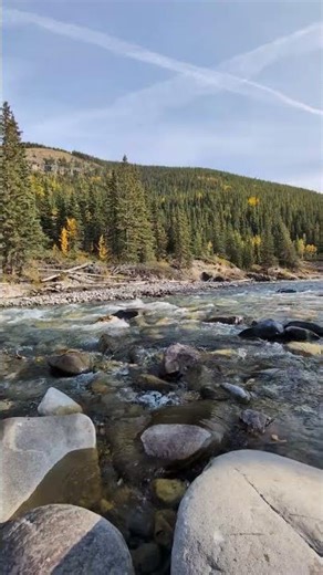 Perfect Autumn 🍁 Hear and Feel the Season | Nature Shorts