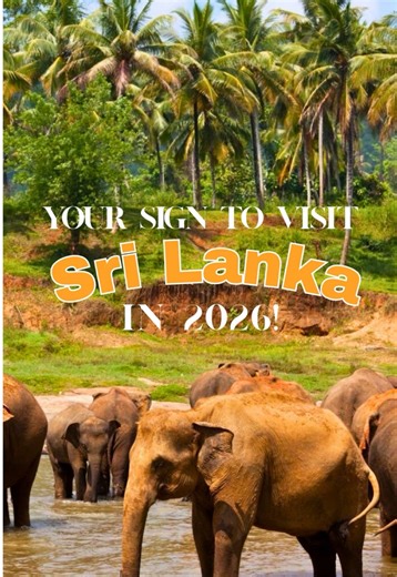 Trip to Sri Lanka?🇱🇰🐘 Save these Sri Lanka travel tips 🗺️ • Local SIMs are the cheapest with great coverage, but eSIMs are great for convenience 📱 • Book Sri Lanka trains early (especially Ella routes) 🚆 • Dress modestly when visiting temples 🙏 • Agree tuk-tuk prices before you ride 🛺 • Sri Lanka safaris are way cheaper than Africa 🐘 • Eat local Sri Lankan food - their rice & curry is a must 🍛 Best places to visit in Sri Lanka ⬇️ • Ella – hikes, waterfalls & train views 🌿 • Sigiriya –