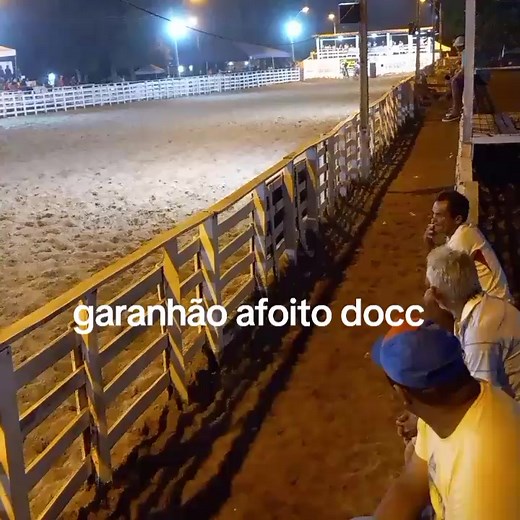 Exciting Rodeo Performance with Bucking White Horse