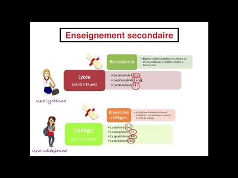 The French school system