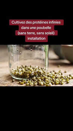 Cultivez des protéines infinies dans une poubelle (sans terre, sans soleil) — installation Dans cette vidéo, nous analysons 20 cultures de niche incroyablement rentables dont la plupart des agriculteurs, propriétaires de fermes et même jardiniers amateurs n’ont jamais entendu parler. Ce sont des plantes avec une demande énorme, une offre minuscule et des marges qui changent complètement les règles du jeu en agriculture. Alors que la majorité des gens restent coincés dans des cultures à faible ma