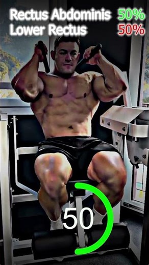 Machine Seated Crunch #shorts #fitness #motivation #abs