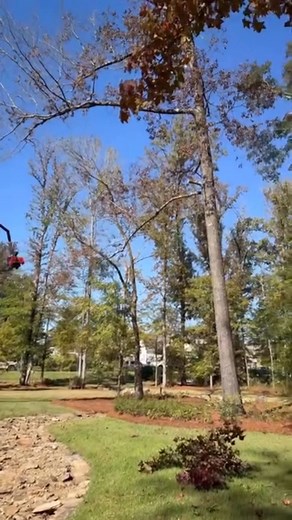 Terence Archie on Reels