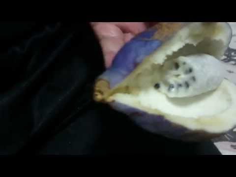 あけびの食べ方・皮の剥き方