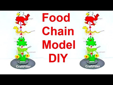 food chain model (3D) school science fair project | grasshopper| frog |snake and eagle craft ideas