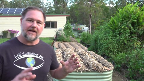 7 Tips to Keep Vegetables Growing Healthy