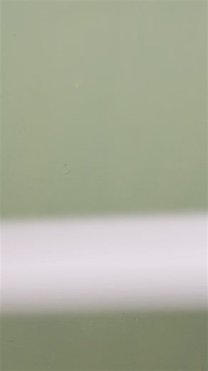 192K views · 883 reactions | Your wedding guests will love these cute gift bags! | Blossom | Facebook