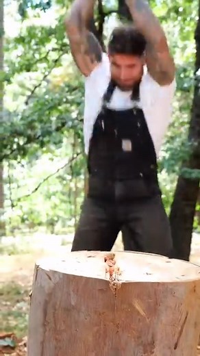 145K views · 5.5K reactions | Video Context: Was showing how tough a gum tree can be to split if you don’t do it the proper way. And the results were……solid confirmation.  | Thoren "Thor" Bradley | Facebook