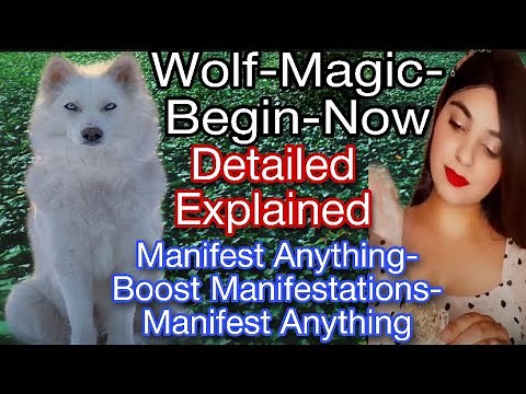 WOLF-MAGIC-BEGIN-NOW SWITCHWORD MEANING,HOW TO USE-MANIFEST ANYTHING--REMOVE OBSTACLES-wolf magic