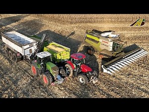 Giganten der Ernte | Fendt Traktor & Claas Mähdrescher Lohnunternehmen der Landwirtschaft Maisernte