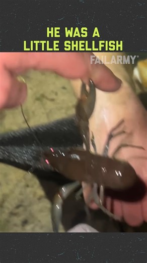 Pet and Animal Fails 🐶🐴🐱 | FailArmy