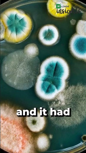 How were Antibiotics invented? #antibiotics #health #info #shorts #medical #science #information