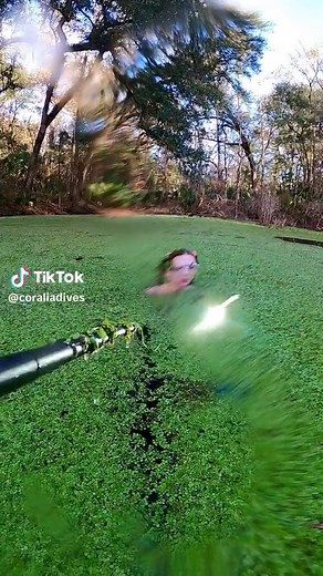 Sometimes the bubble rings are crusty and thats okay 🧚‍♀️ #duckweed #freediving #freediver #underwater #asmr #asmrsounds #satisfyingsounds