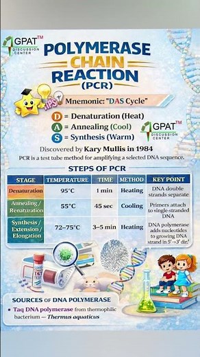 PCR (Polymerase Chain Reaction) Explained