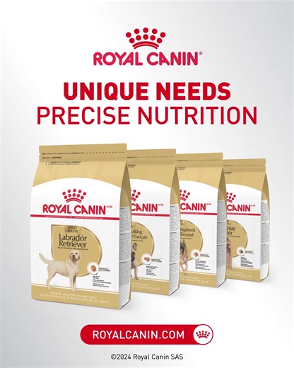 Behind every incredible breed there are unique needs. Discover precise nutrition designed for 25 different breeds. | Royal Canin