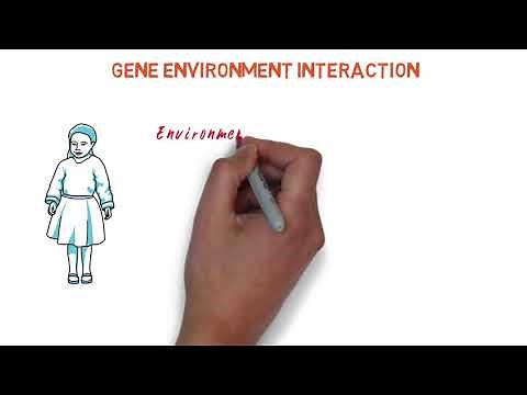Gene Environment Interaction