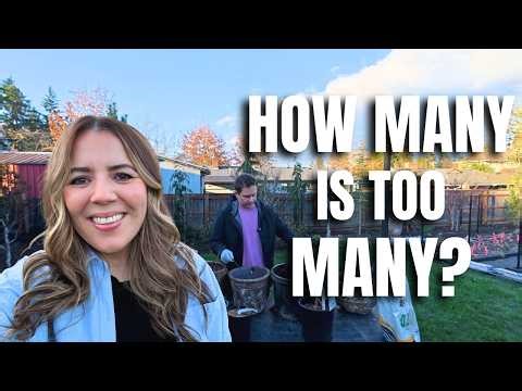 We Might Have Bought Too Many Rare Japanese Maples 🌿🤷‍♀️