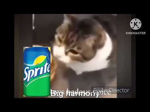 Please QR code is not Rick roll