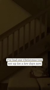 17K views · 69 reactions | Rotating tree stand #christmas2023 #christmastree #christmastreedecor #christmasdecor #reels #festiveseason | Kristen McGowan | Facebook