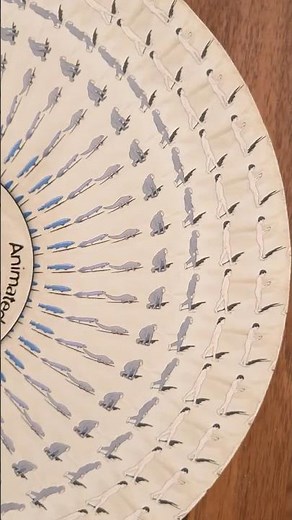 🌀Animated Zoetrope Record🌀 - 🐒 ‘Human Devolution’ 🐒 - #evolution #animatedrecord #zoetrope