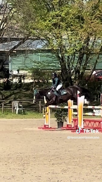 Mein erstes M Springen mit Abby