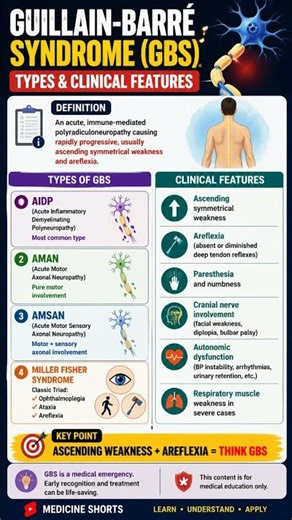 Guillain-Barré Syndrome Clinical Features Explained