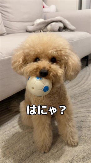 ポーンで遊ぼう！ボール投げゲームの楽しさ