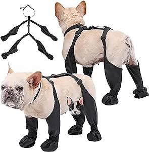 Suspender Boots for Dogs,Dog Suspender Boots,Suspender Dog Boots,Dog Boot Leggings,Dog Snow Boots with Suspenders (M)
