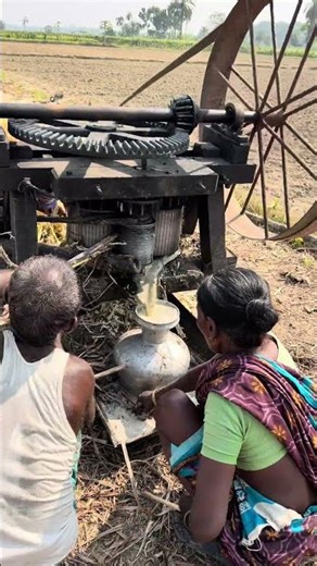 শীতে আঁখের রস বাহির করা হচ্ছে #villagelife #juce #hardwork #sugar #agriculture